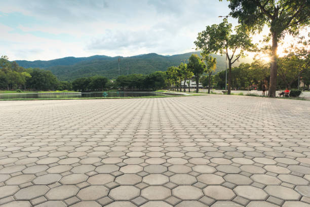 Best Driveway Pavers Near Me  in Diamond, IL